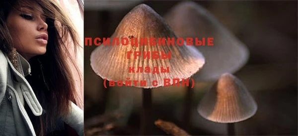 спиды Алексеевка