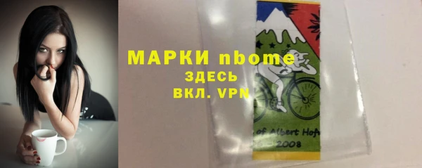 ПСИЛОЦИБИНОВЫЕ ГРИБЫ Арсеньев