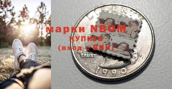 ПСИЛОЦИБИНОВЫЕ ГРИБЫ Арсеньев
