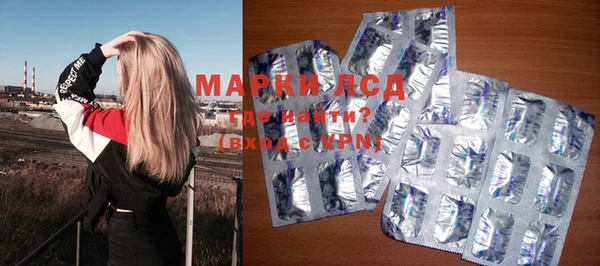 ПСИЛОЦИБИНОВЫЕ ГРИБЫ Арсеньев