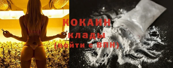 ПСИЛОЦИБИНОВЫЕ ГРИБЫ Арсеньев