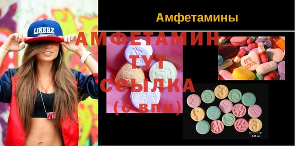 ПСИЛОЦИБИНОВЫЕ ГРИБЫ Арсеньев