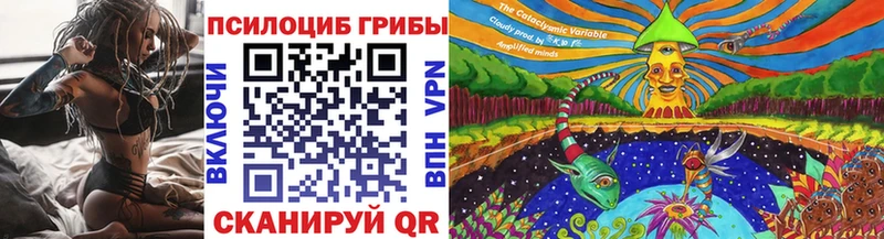 Псилоцибиновые грибы прущие грибы  Белокуриха 